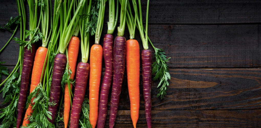 Carrot Top Pesto